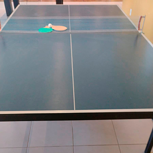 Aluguel de Ping Pong